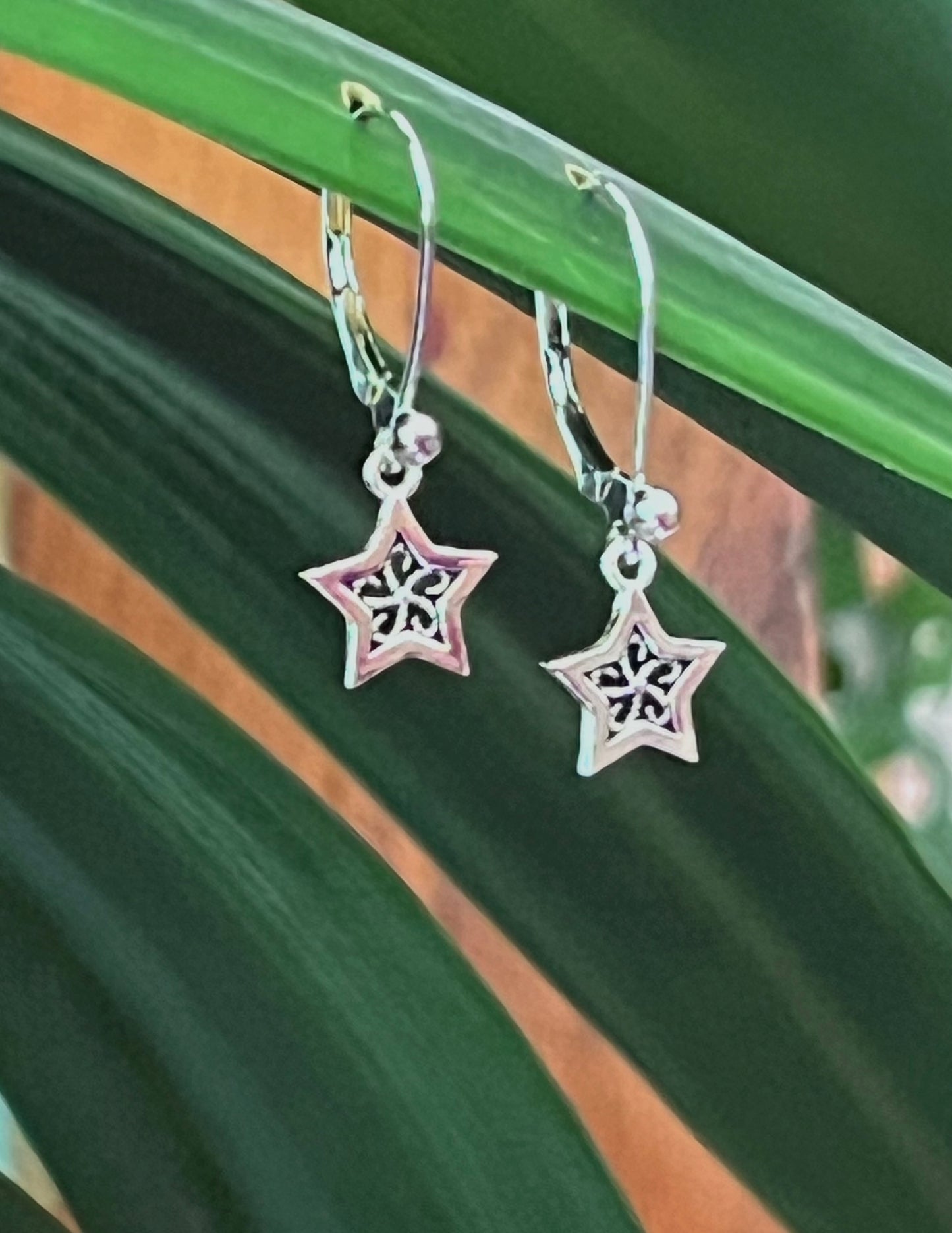 Sterling Silver Star Earrings