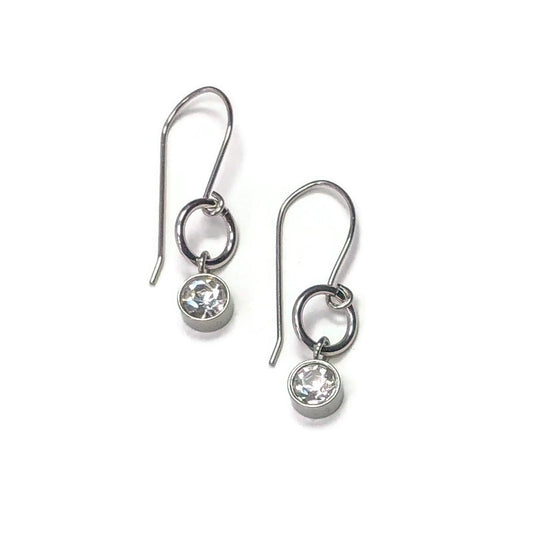 Stainless Steel Crystal Drop Earrings - Short